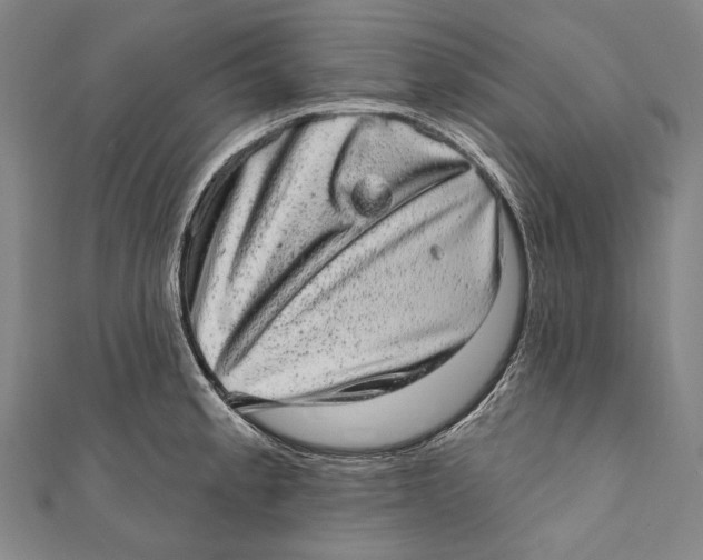 X0000110961189200907101321