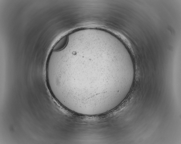 X0000110961191200907101321