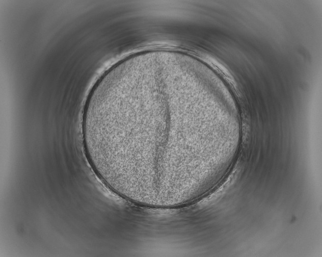 X0000110961192200907101321