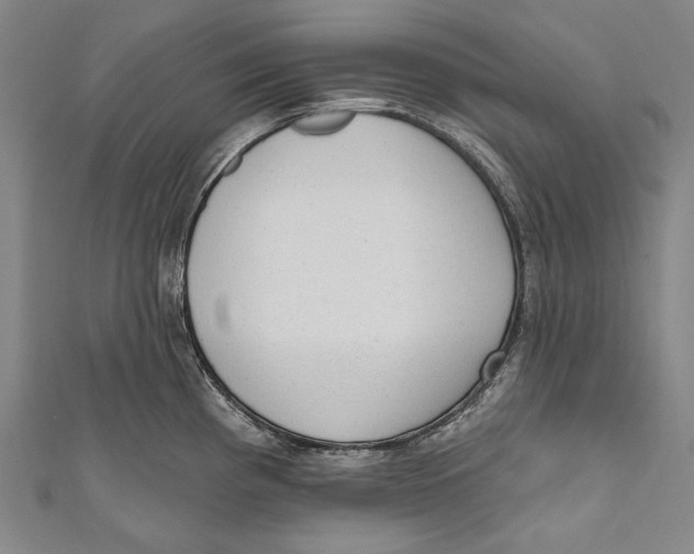 X0000110961193200907101321