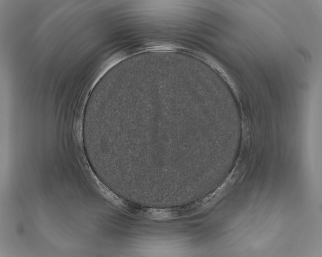 X0000110961194200907101321