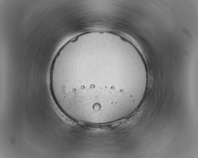 X0000110961195200907101321