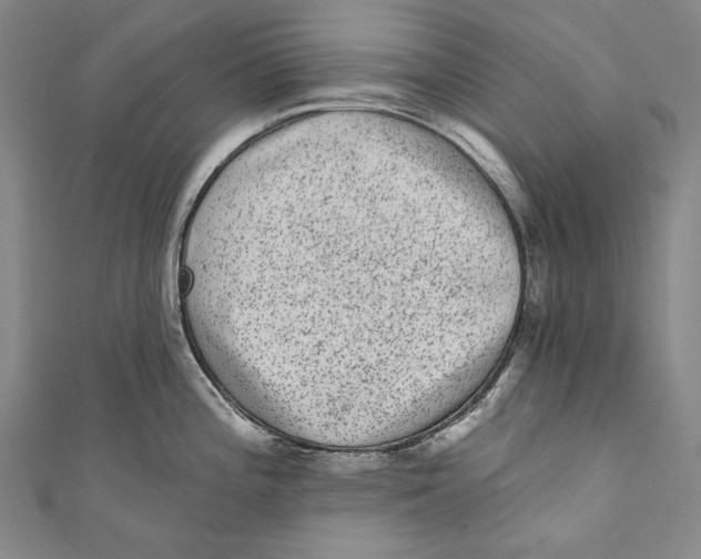 X0000110961196200907101321