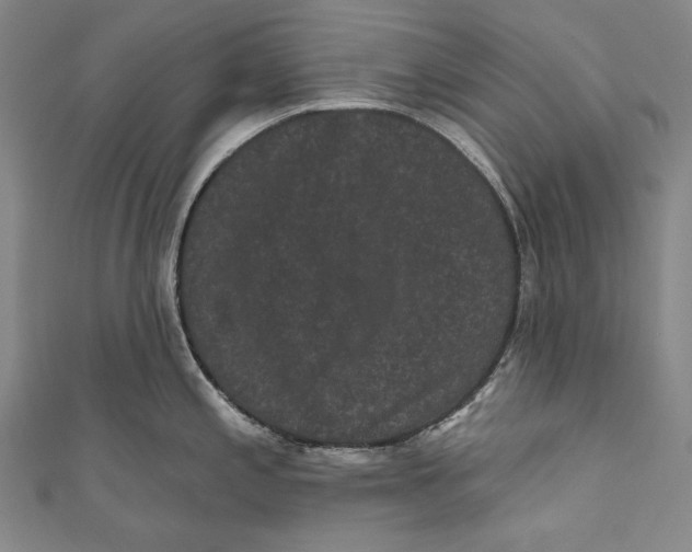 X0000110961197200907101321