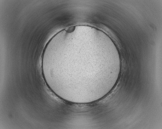 X0000110961198200907101321