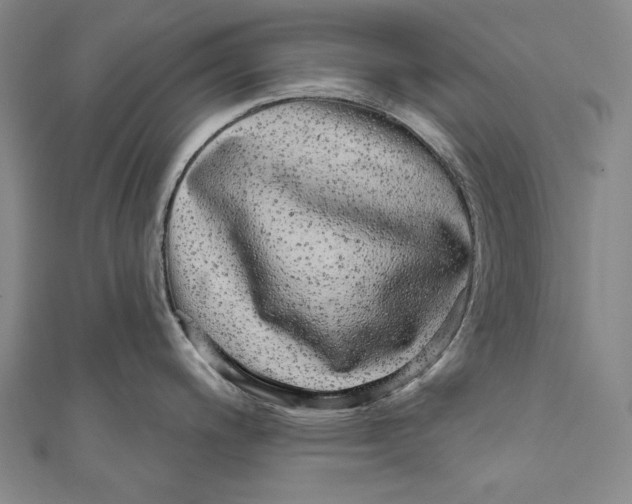 X0000110961200200907101321