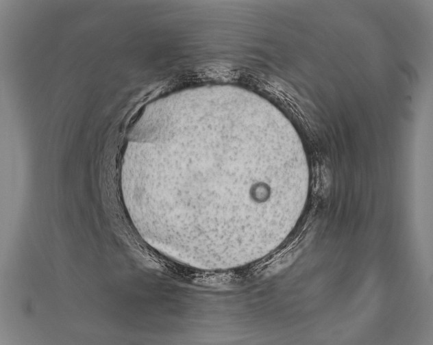 X0000110961201200907101320