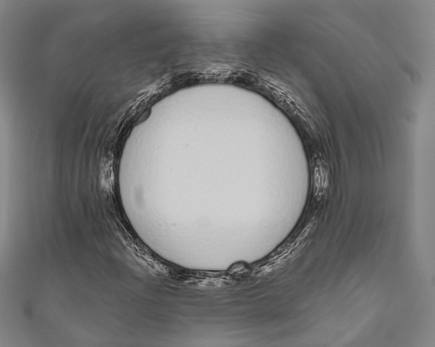 X0000110961204200907101320