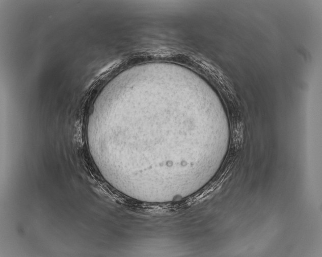 X0000110961205200907101320