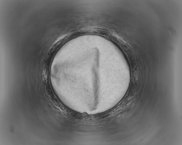 X0000110961206200907101320