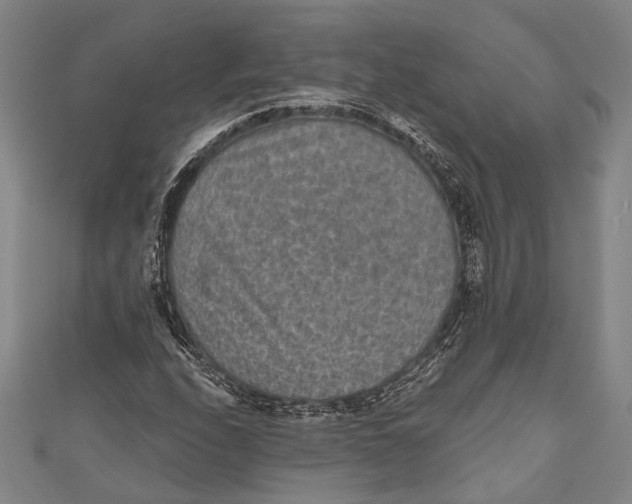 X0000110961208200907101320