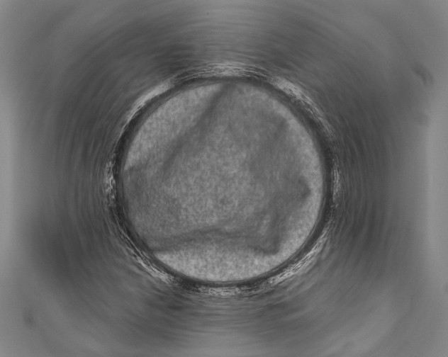 X0000110961210200907101320