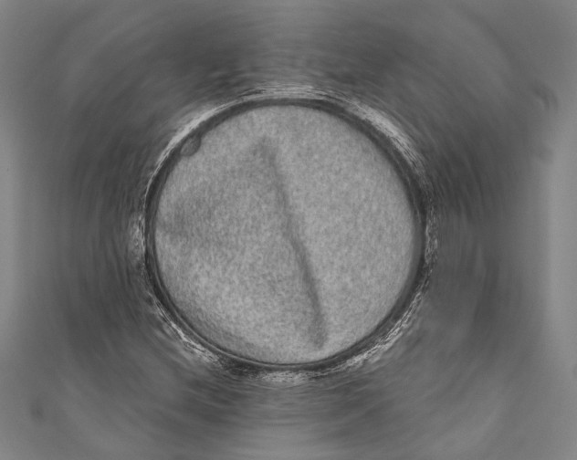 X0000110961212200907101320