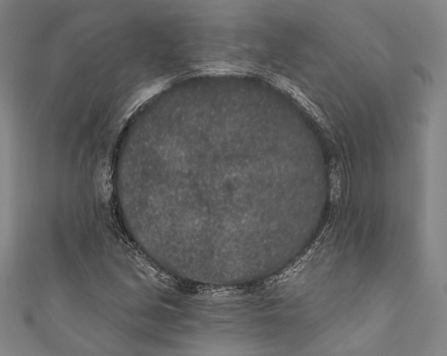 X0000110961213200907101320