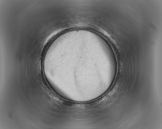 X0000110961214200907101320