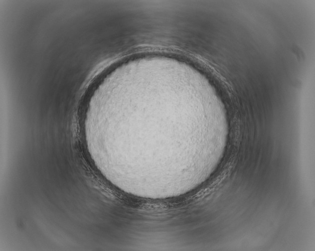 X0000110961215200907101320