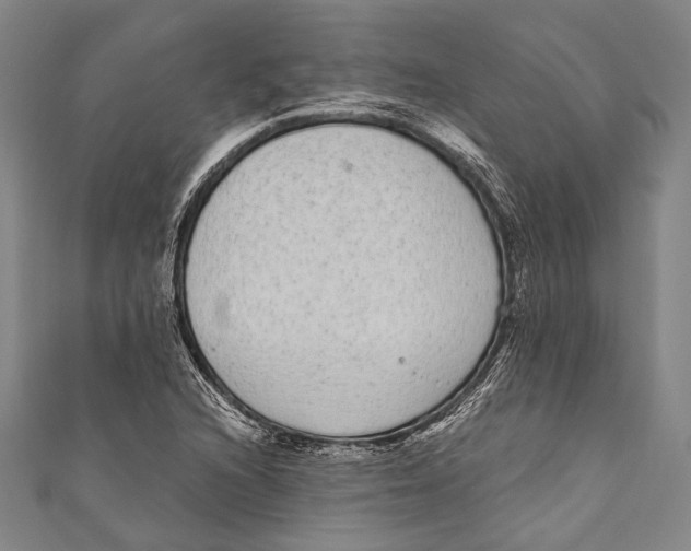 X0000110961216200907101320