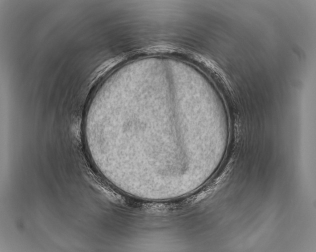 X0000110961217200907101320