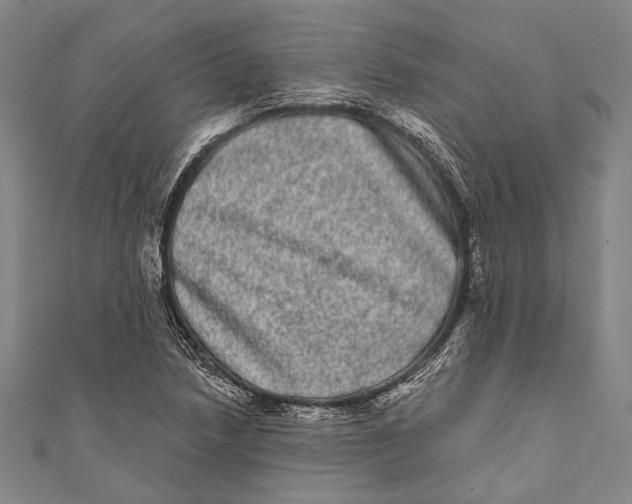 X0000110961218200907101320