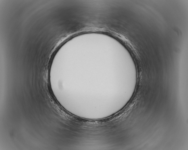 X0000110961220200907101320