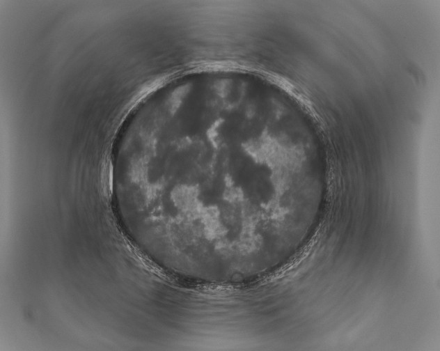 X0000110961221200907101320