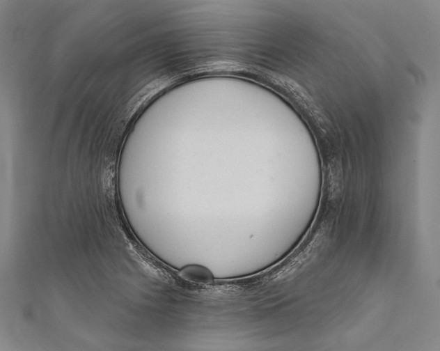 X0000110961225200907101320