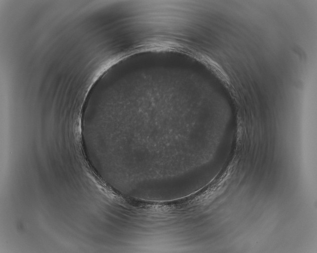 X0000110961226200907101320