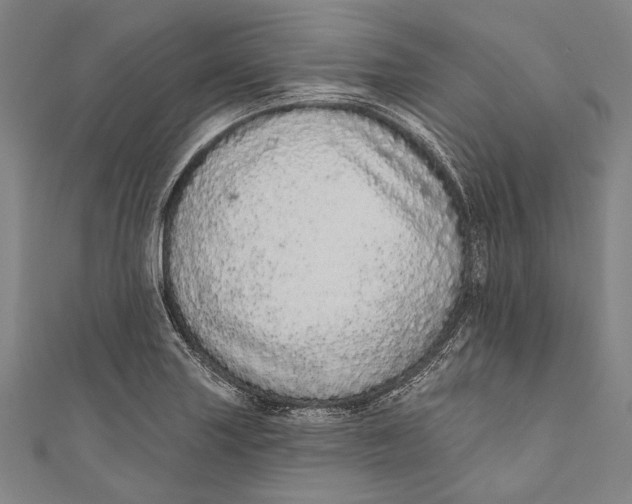 X0000110961227200907101321