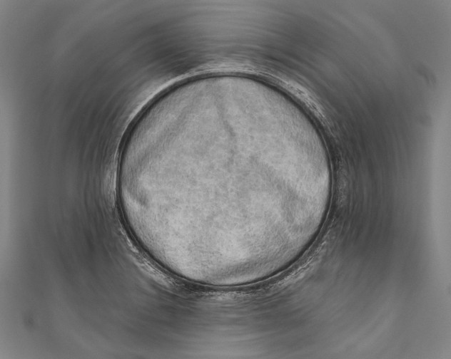 X0000110961228200907101321