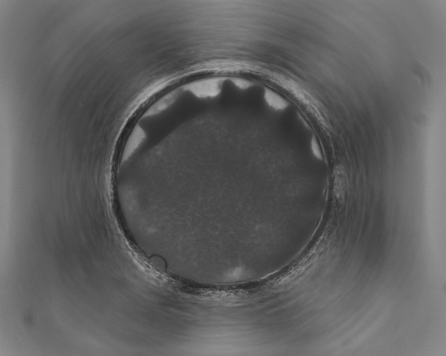 X0000110961229200907101321