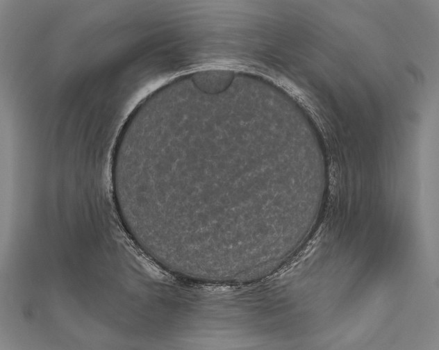 X0000110961230200907101321