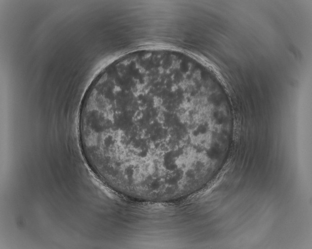 X0000110961231200907101321