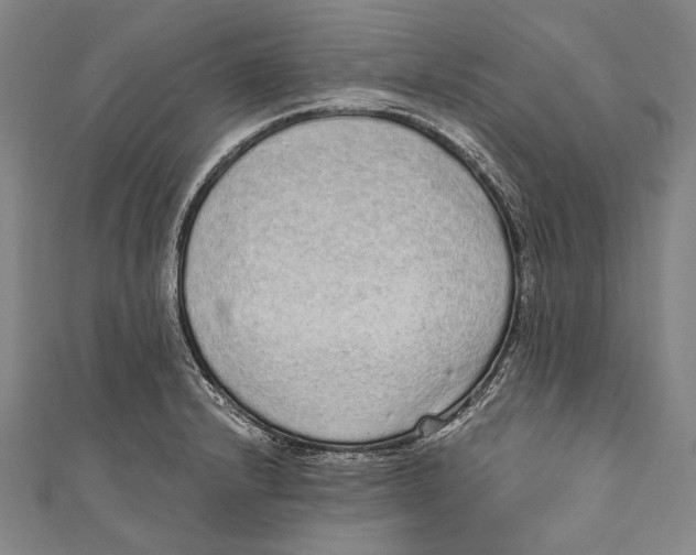 X0000110961232200907101321