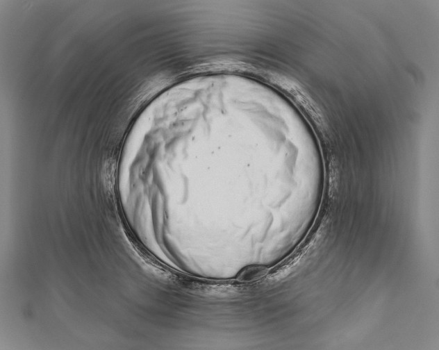 X0000110961233200907101321