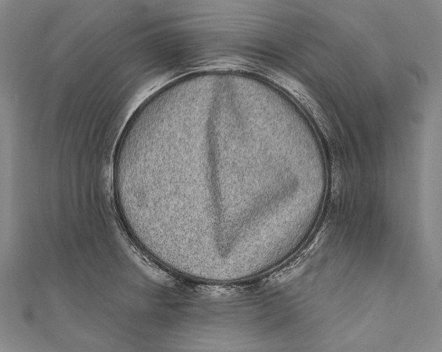 X0000110961234200907101321