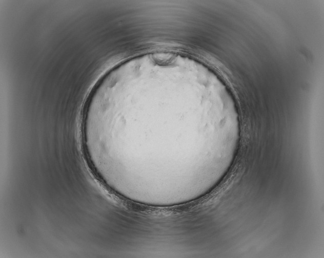 X0000110961235200907101321