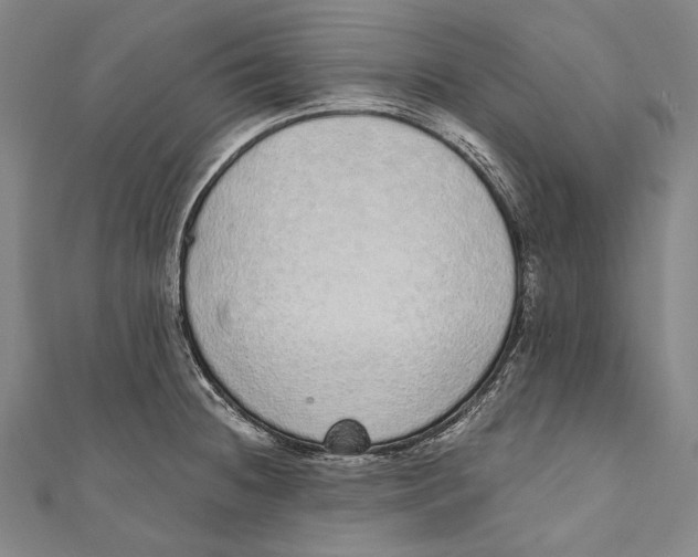 X0000110961236200907101321