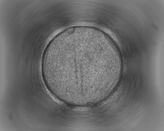 X0000110961237200907101321