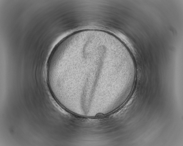 X0000110961238200907101321