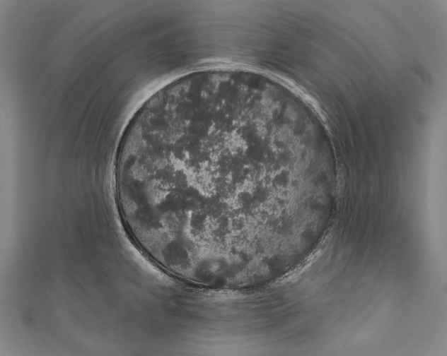 X0000110961239200907101321