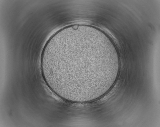 X0000110961240200907101321