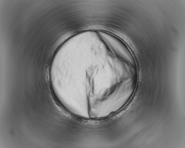 X0000110961241200907101321