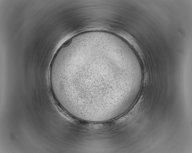 X0000110961242200907101321