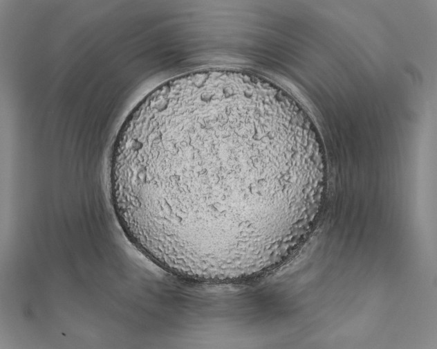 X0000110961243200907101321