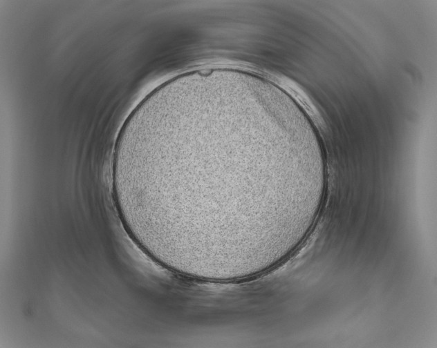 X0000110961244200907101321