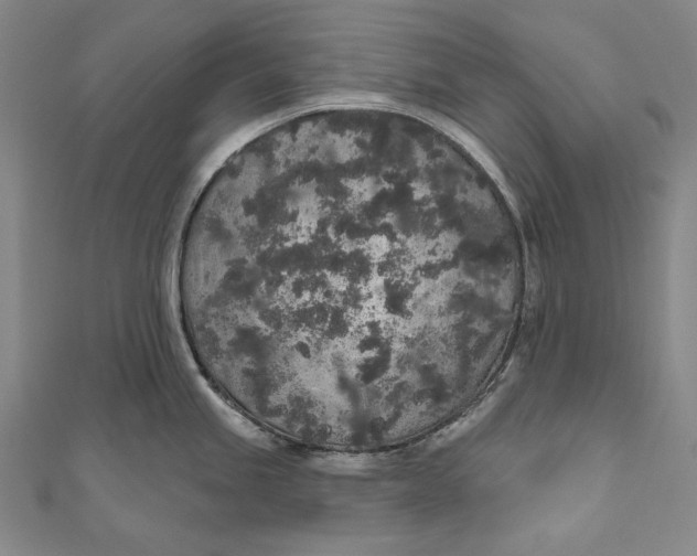 X0000110961245200907101321