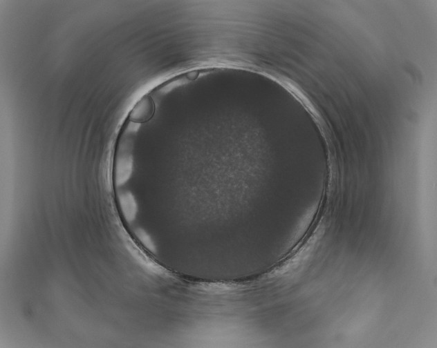 X0000110961246200907101321