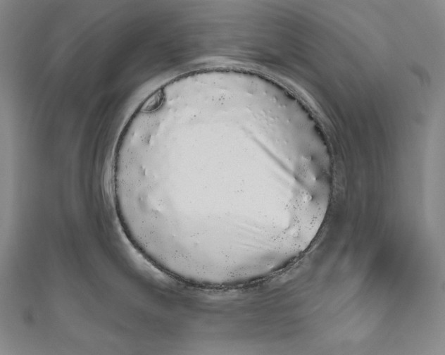 X0000110961247200907101321