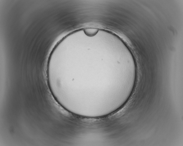 X0000110961248200907101321