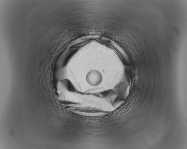 X0000110961249200907101320